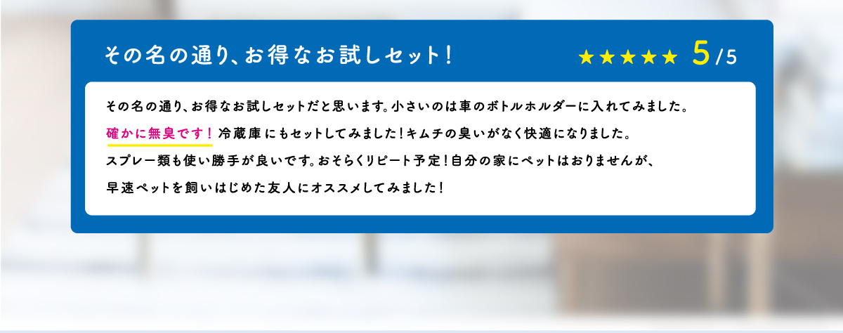 その名の通り、お得なお試しセット！