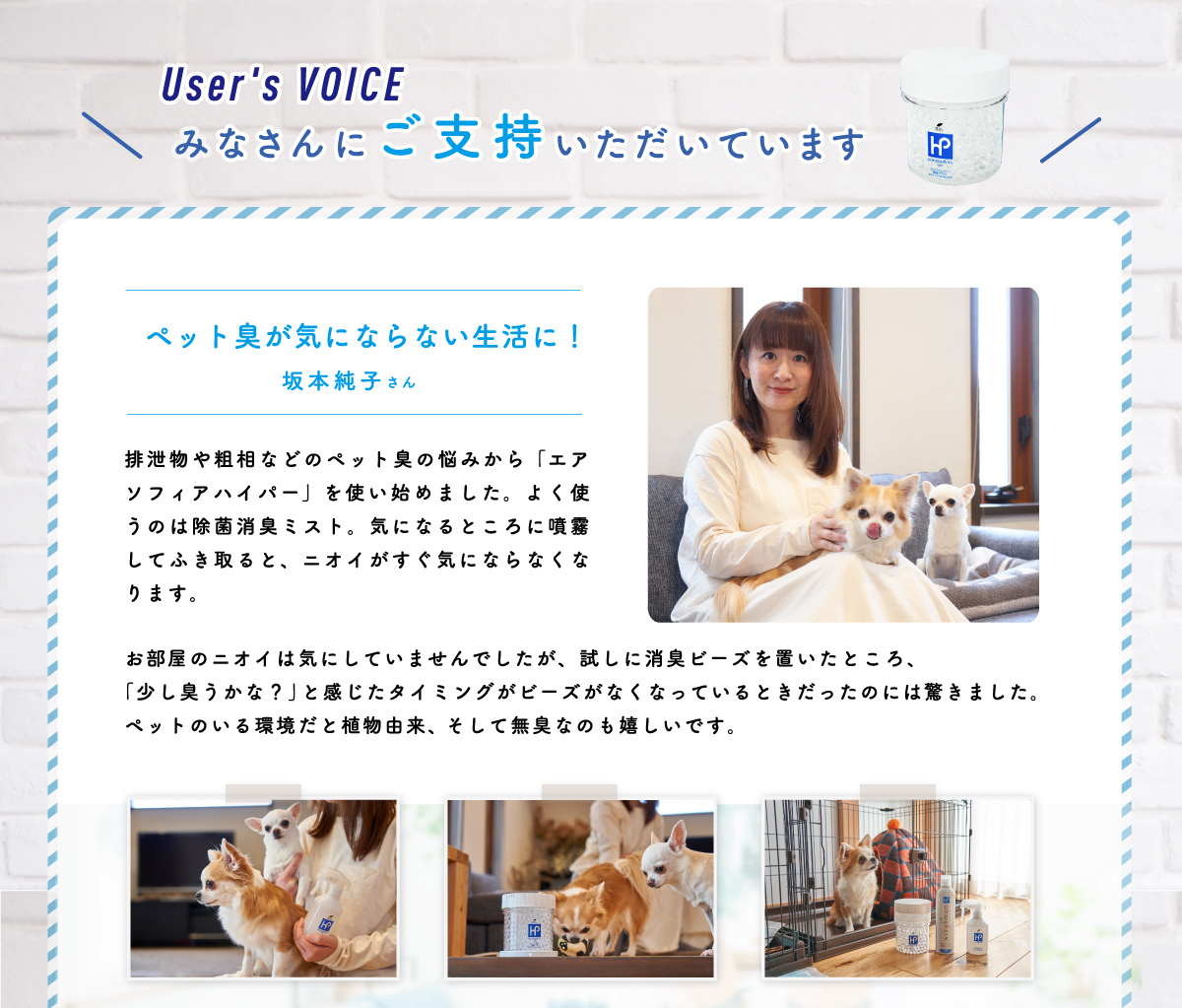 みなさんにご支持いただいています。