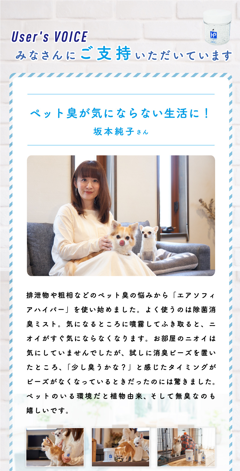 みなさんにご支持いただいています。